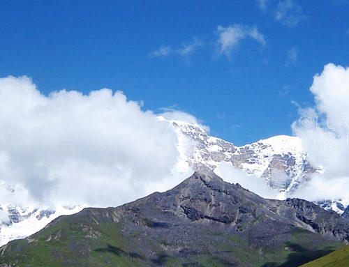 Yaktsha Trek